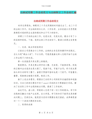 出纳试用期工作总结范文与出纳转正工作总结汇编