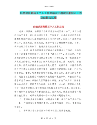 出纳试用期转正个人工作总结与出纳试用期转正工作总结报告汇编