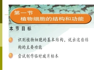 植物细胞和动物细胞的结构