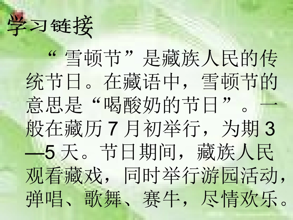 《雪顿节上看赛牛》课件_第2页