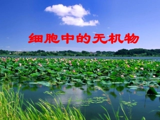 第二章第五节细胞中的无机物