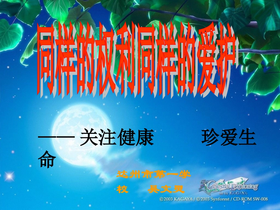 同样的权利得到同样的保护_第2页