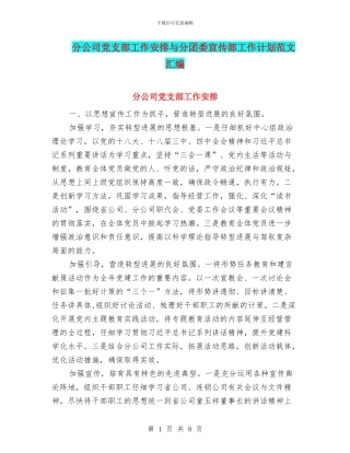 分公司党支部工作安排与分团委宣传部工作计划范文汇编