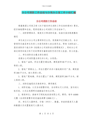 分公司消防工作总结与分局办公室工作小结汇编