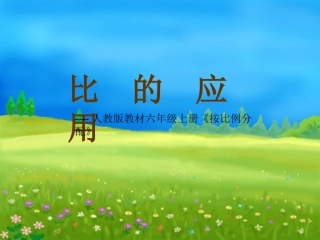 人教版比的应用PPT
