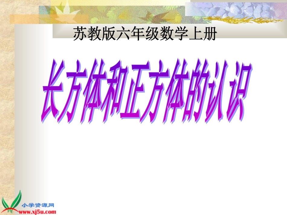苏教版数学六年级上册《长方体和正方体的认识》PPT课件_第1页