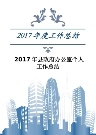 县政府办公室个人工作总结