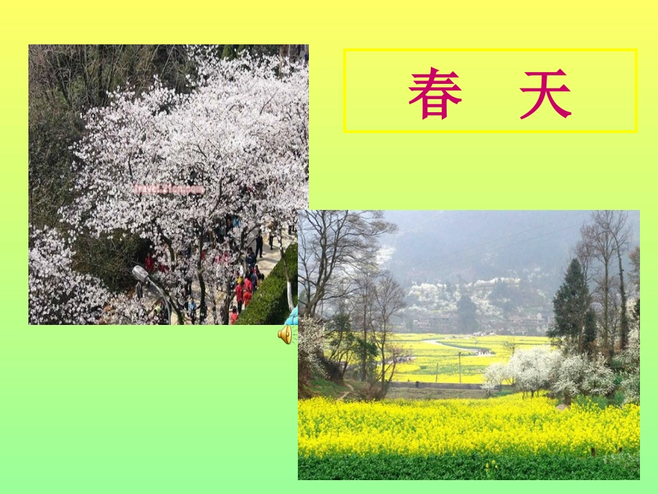 教科版小学科学四年级下册《油菜花开了》课件_第2页