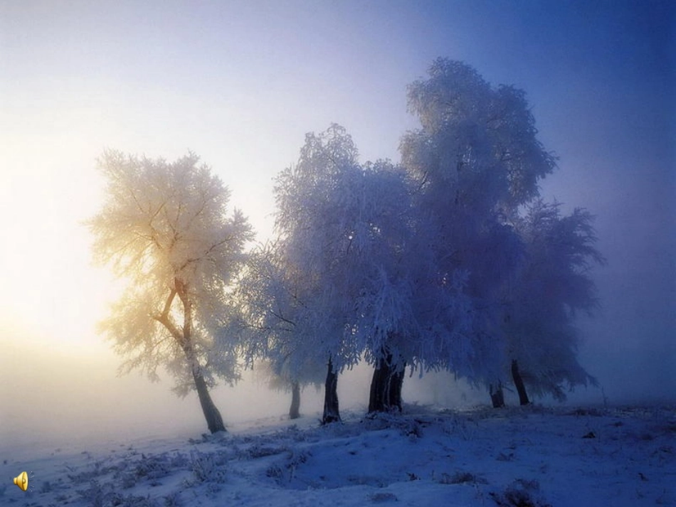 玉溪一小李江源《雾凇》教学_第2页