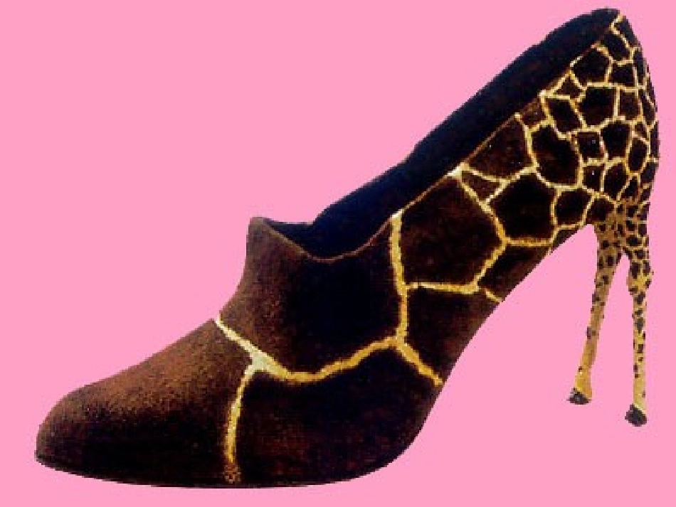 各种各样的鞋_第3页