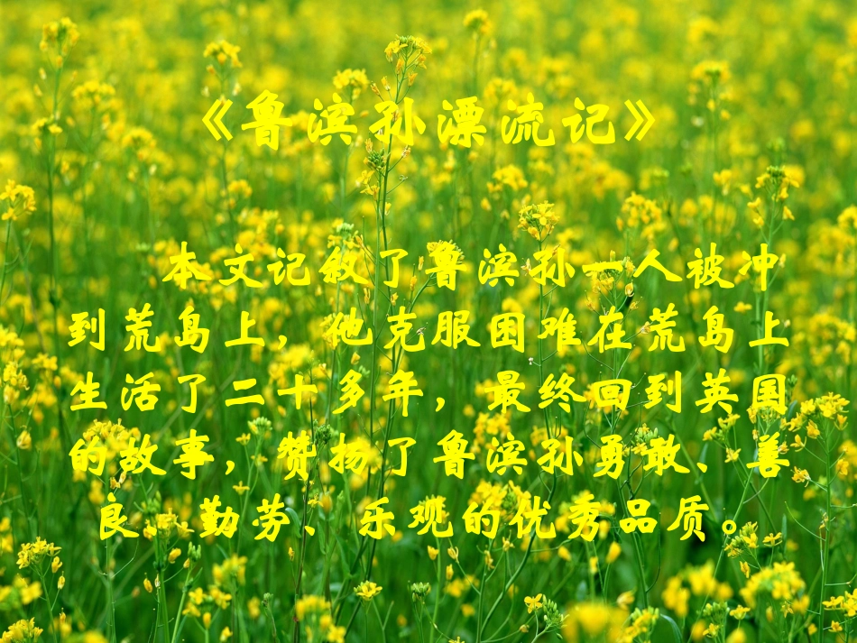 我的单元计划_第3页