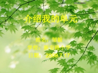 我的单元计划