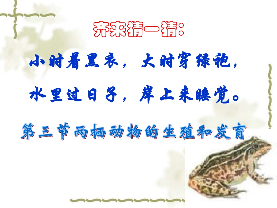 两栖动物的生殖和发育课件_第2页