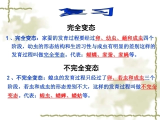 两栖动物的生殖和发育课件