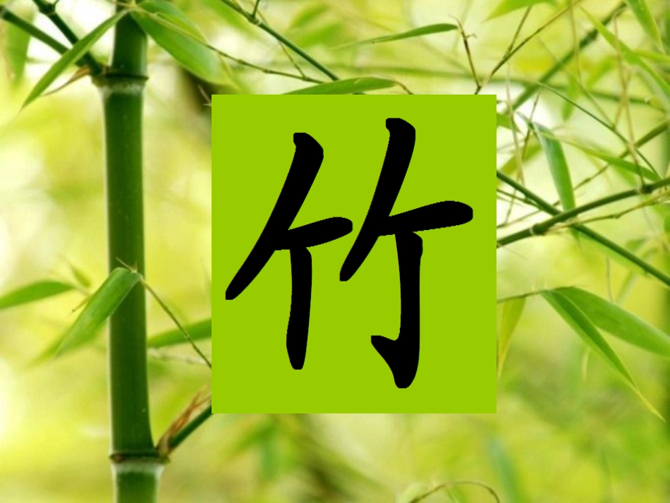 竹乡之歌上传课件_第2页