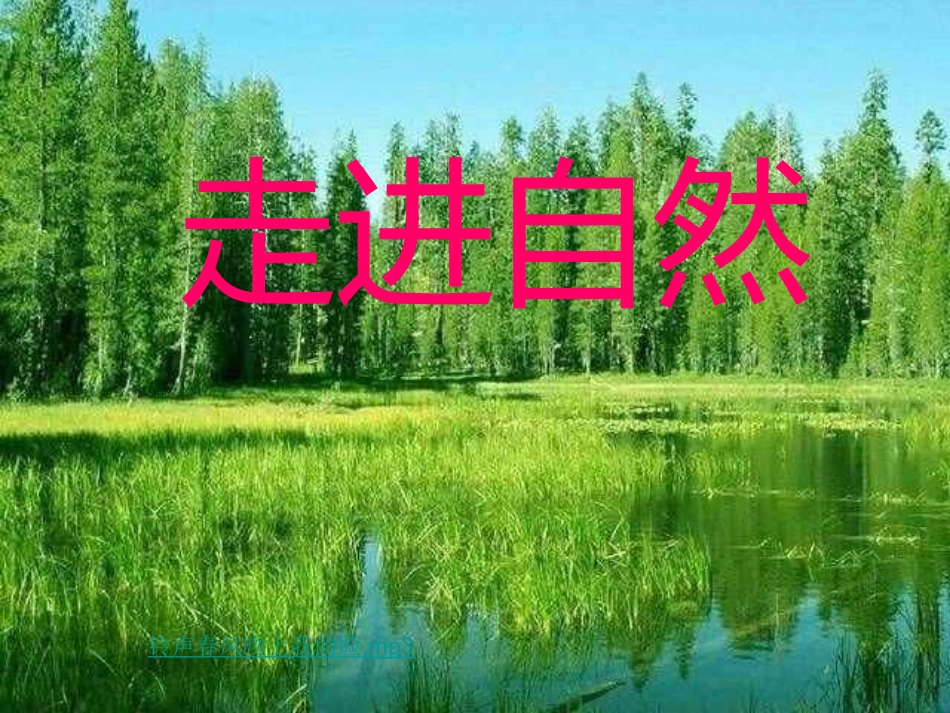 综合学习《感受自然》_第1页