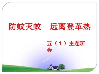 预防登革热主题班会