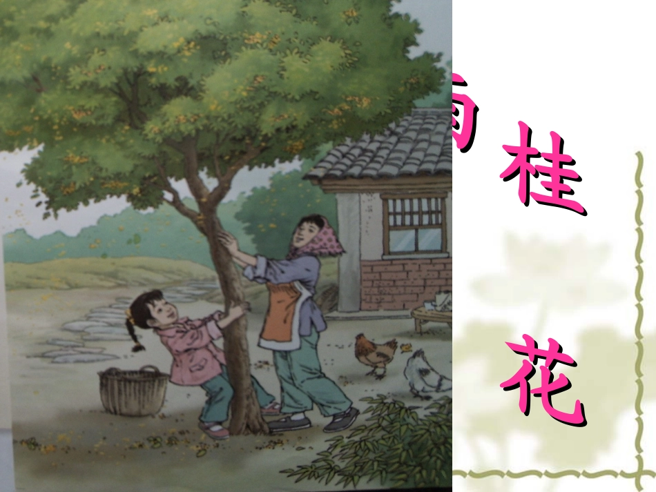 （精品）《桂花雨》课件_第2页