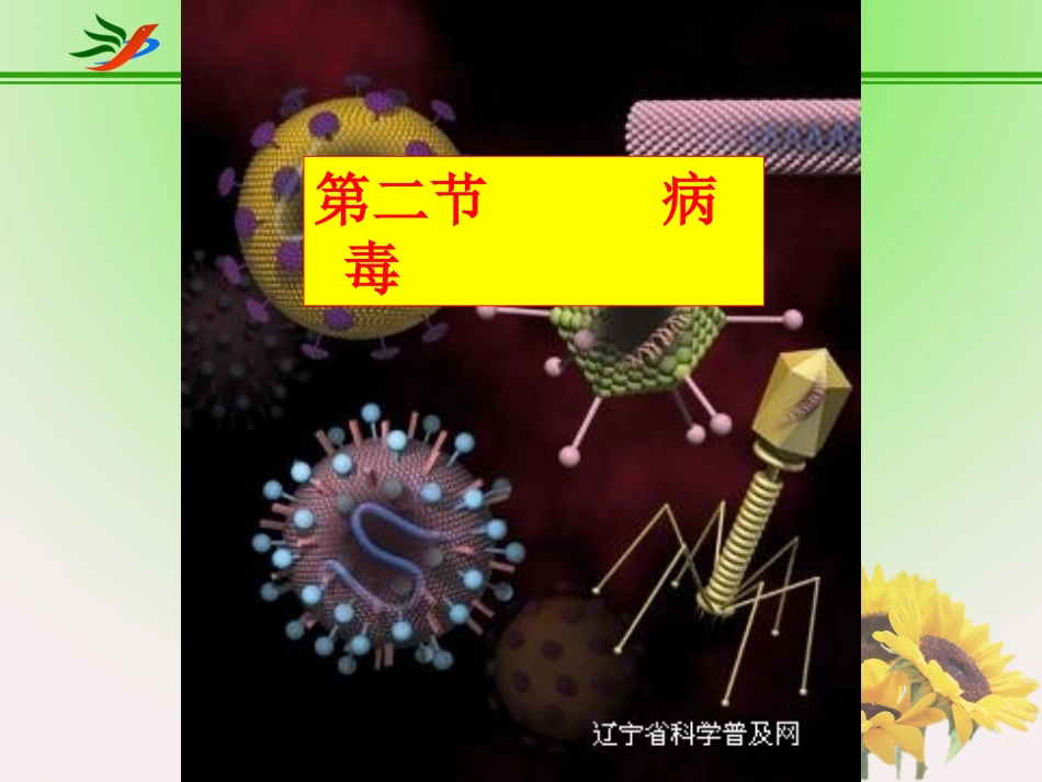 八年级下生物教案_第二节_病毒_第1页