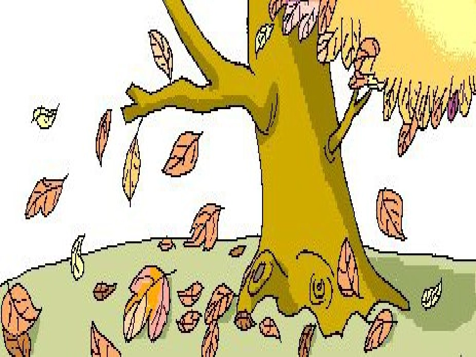 《要是你在野外迷了路》教学课件_第1页