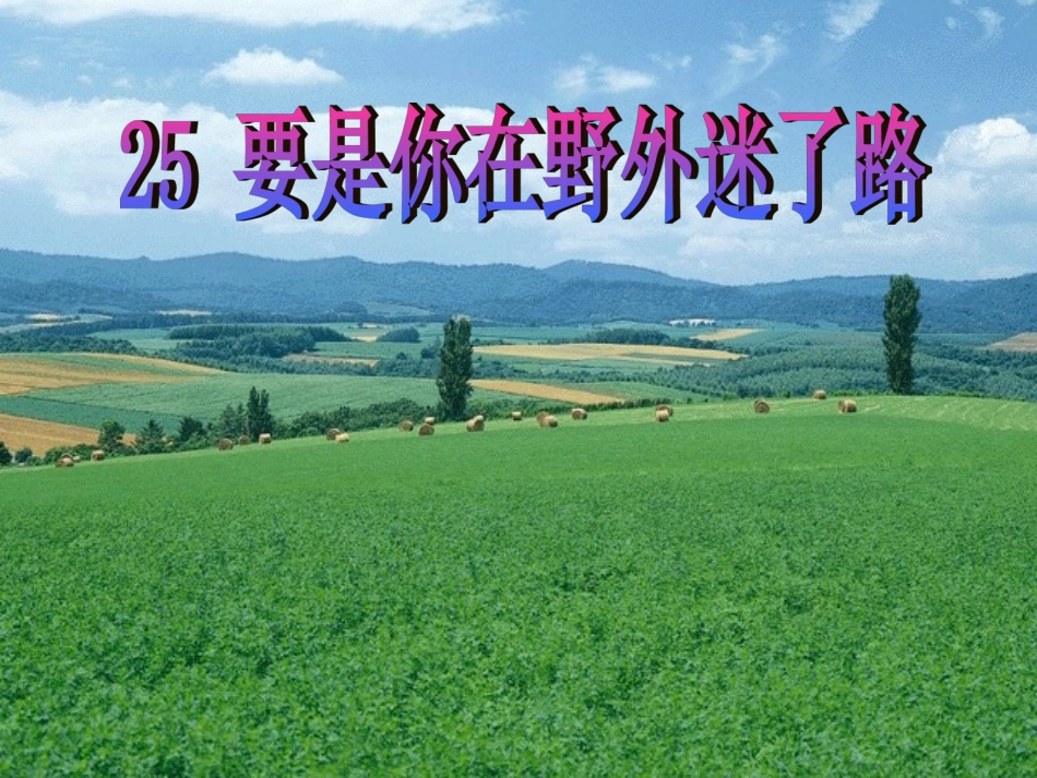 《要是你在野外迷了路》教学课件_第3页
