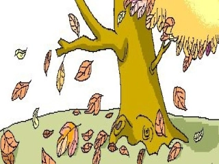 《要是你在野外迷了路》教学课件