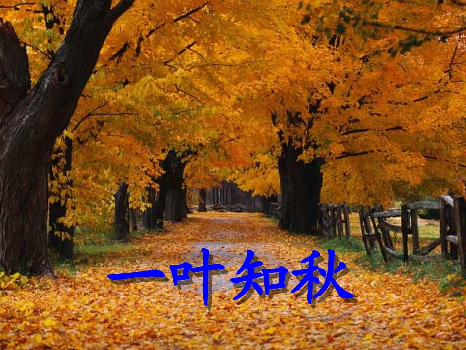 人教二上语文《秋天的图画》课件_第2页