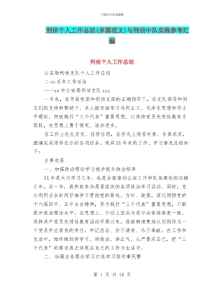 刑侦个人工作总结与刑侦中队实践参考汇编