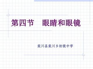 眼睛和眼镜PPT
