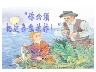 你必须把这条鱼放掉第二课时课件