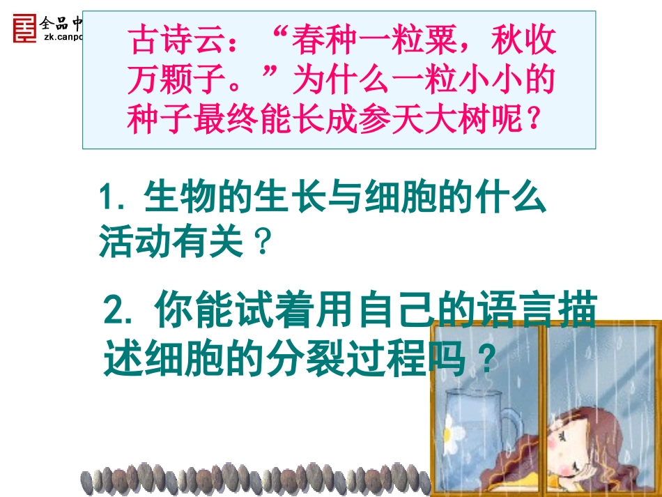 第二章第一节细胞通过分裂产生新细胞第二节动物结构层次_第3页