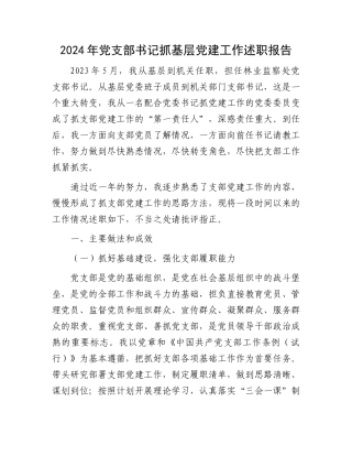 2024年党支部书记抓基层党建工作述职报告