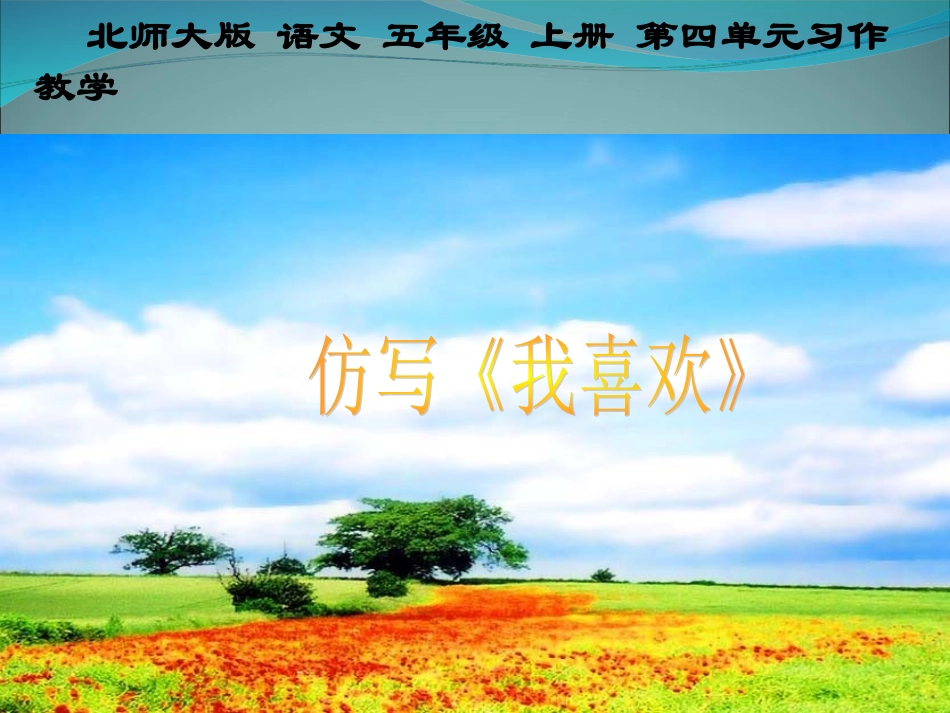 五年级作文：我喜欢_第1页
