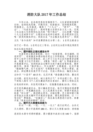 消防大队2017年工作总结11