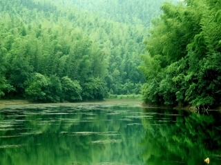 情境模拟背景