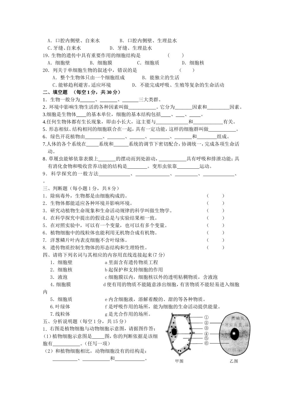 苏教版七年级上册期中测试题_第2页