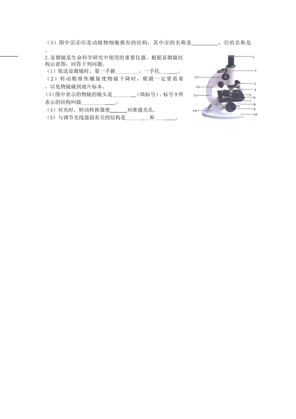 苏教版七年级上册期中测试题_第3页