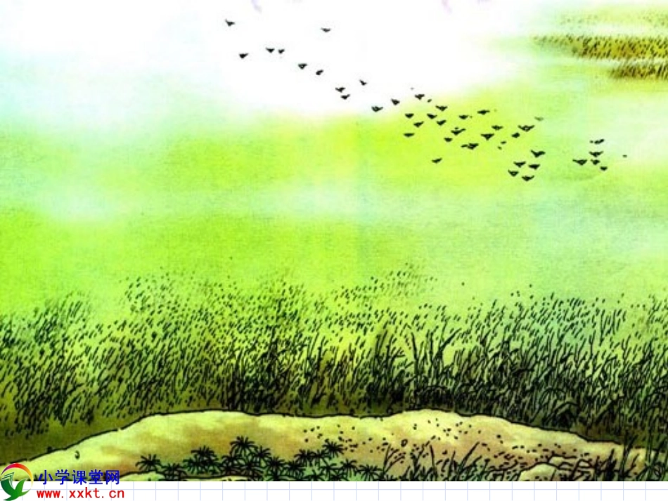 二年级下册语文古诗两首《草，宿新市徐公店》PPT课件_第2页