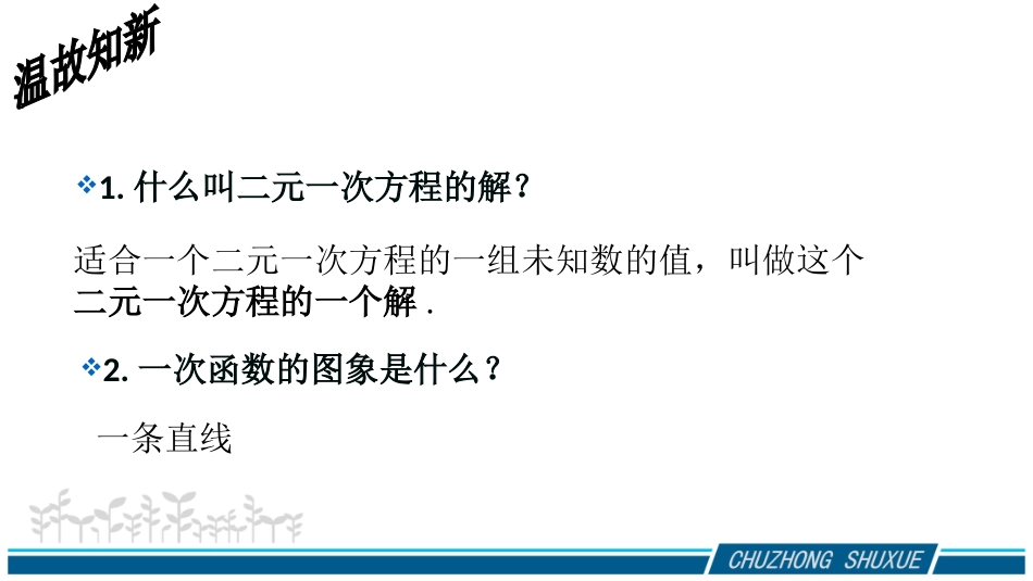 数学八年级上—二元一次方程与一次函数—郑丹_第2页