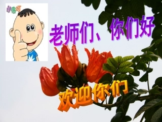 中学思想政治课教学技能