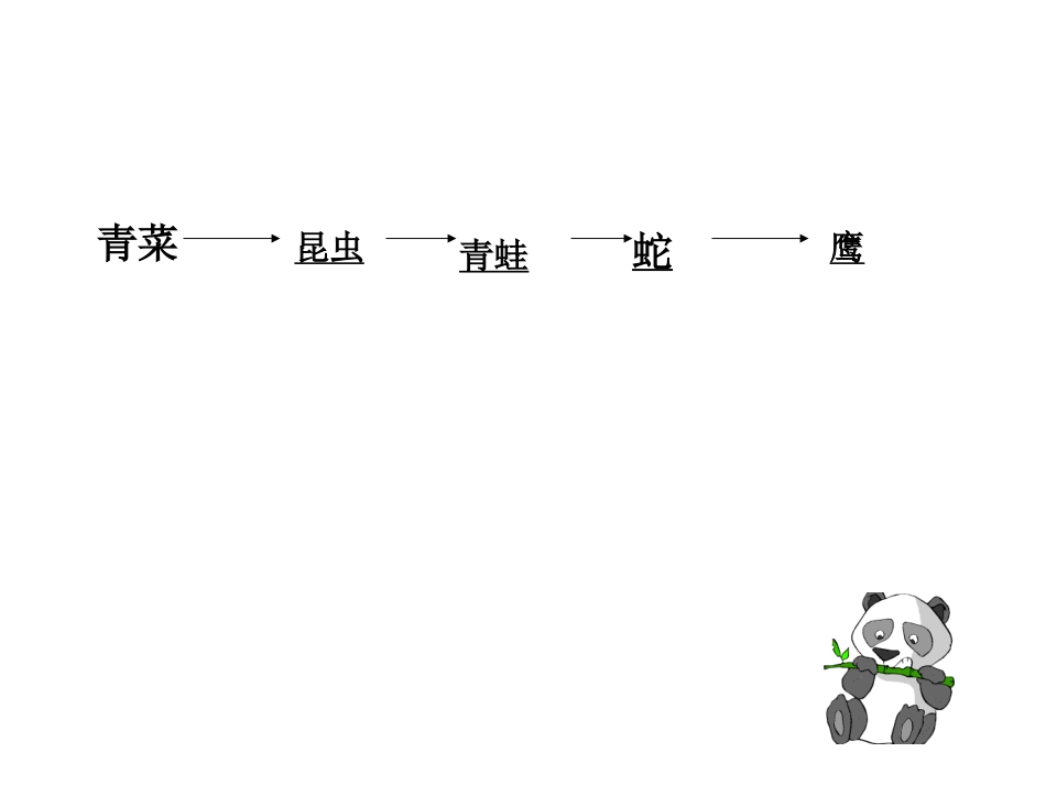 错综复杂的食物关系_第2页