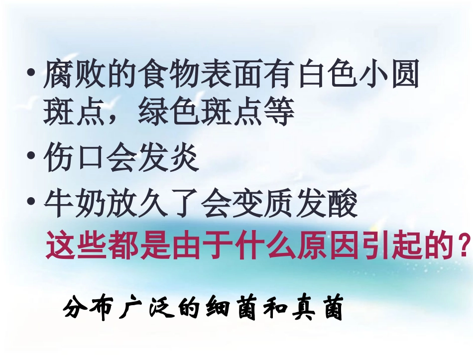 《细菌和真菌的分布》参考课件_第1页