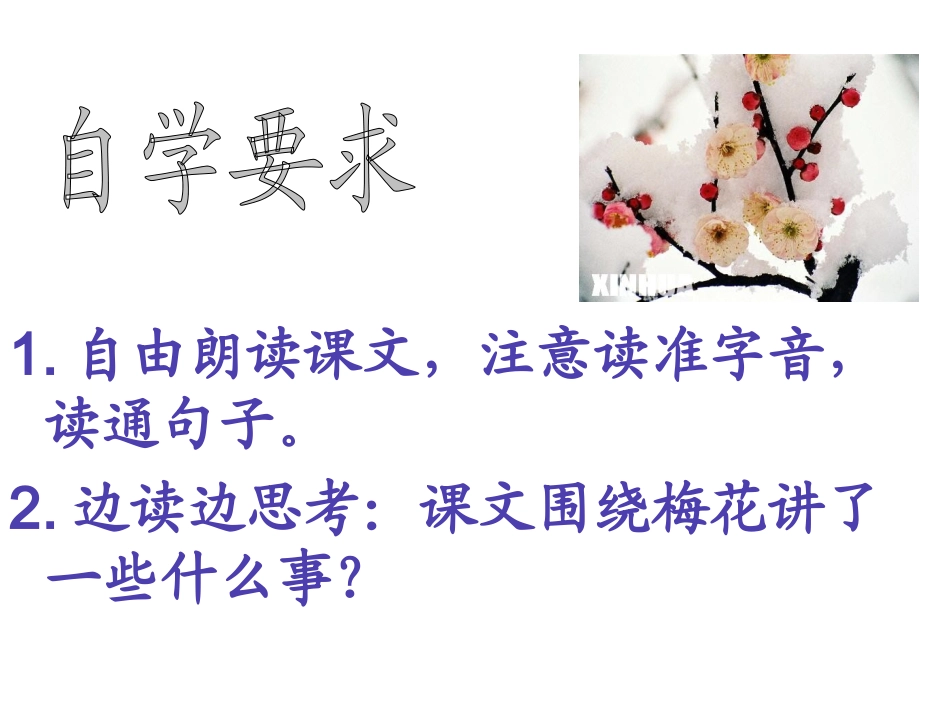 《梅花魂》第一课时_第3页