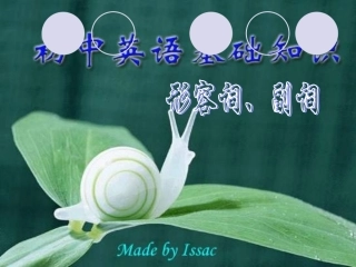 初中英语基础知识--形容词、副词（初三复习用）