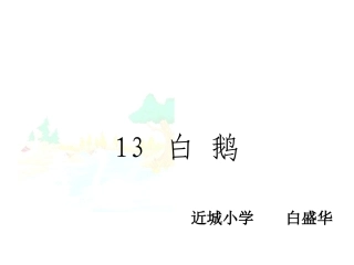 白鹅课件修改
