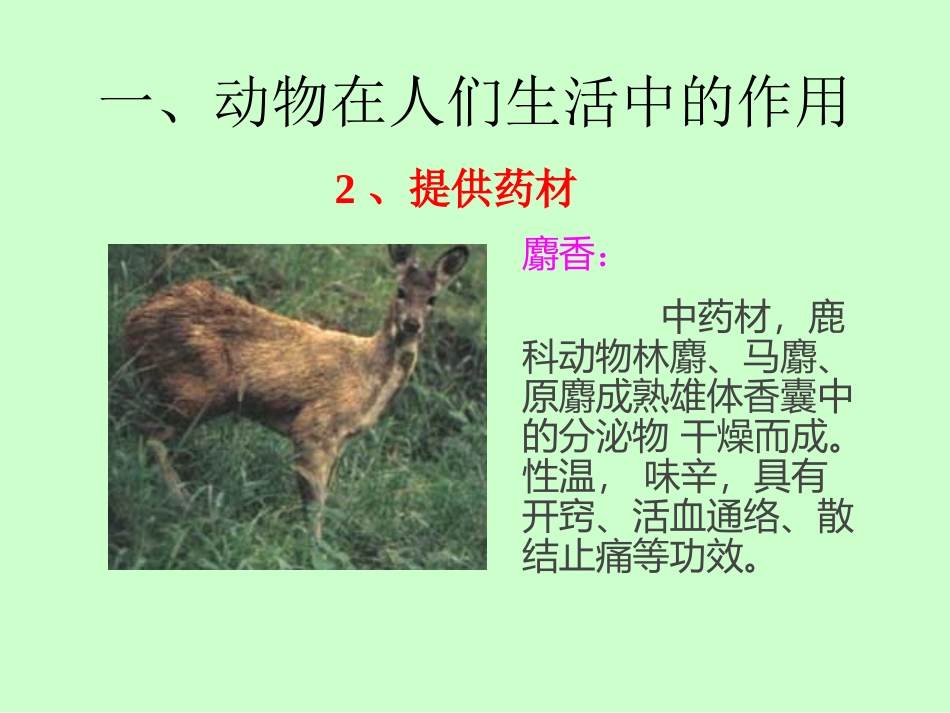 动物与人类生活的关系dps_第3页