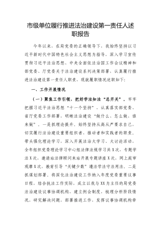 2024年度履行推进法治建设第一责任人述职报告（市级单位）