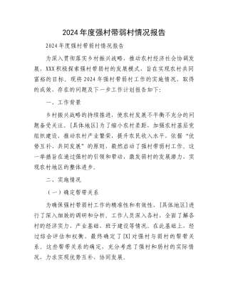 2024年度强村带弱村情况报告