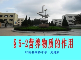 营养物质的作用