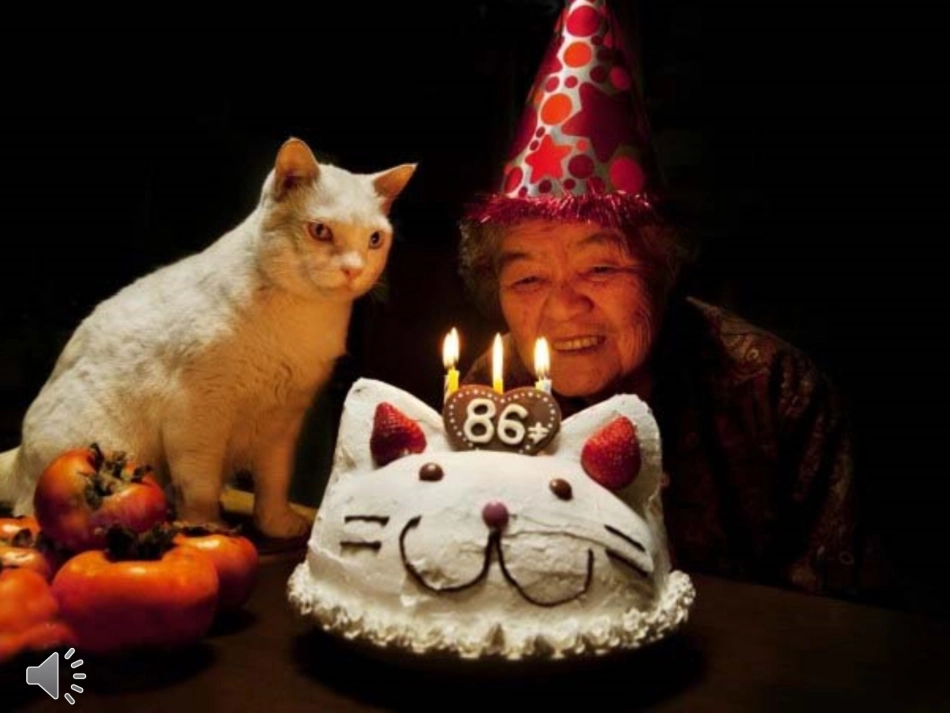 探索图像的拍摄艺术_第1页